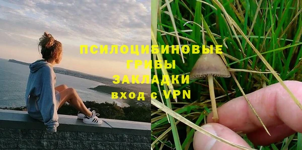 хмурый Надым