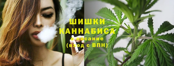 крисы Наволоки