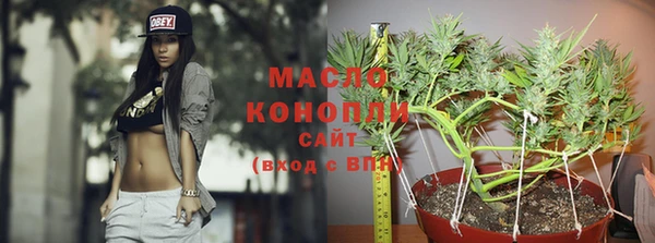 крисы Наволоки