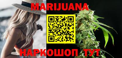 индика Дубна