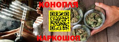 индика Дубна