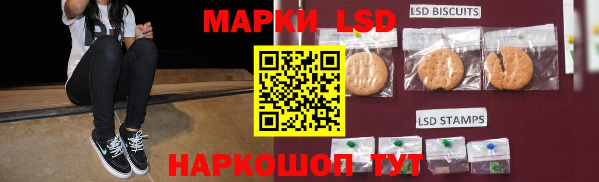 LSD-25 экстази кислота  Вход с VPN  Ноябрьск 