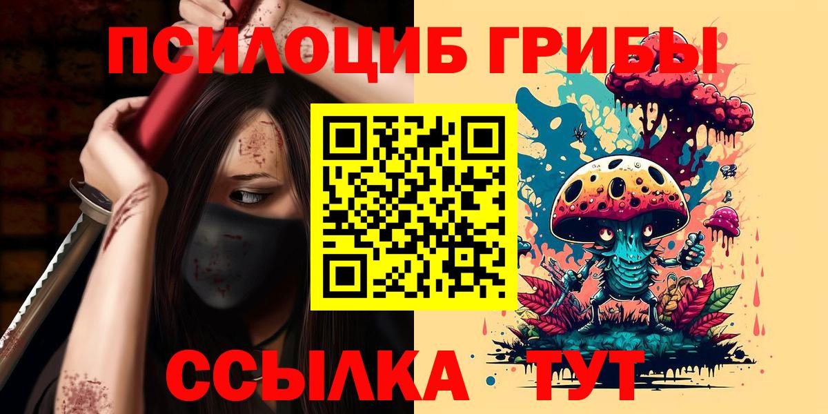 Галлюциногенные грибы GOLDEN TEACHER  где купить наркоту  Вход с VPN  Ноябрьск  Галлюциногенные грибы Magic Shrooms 