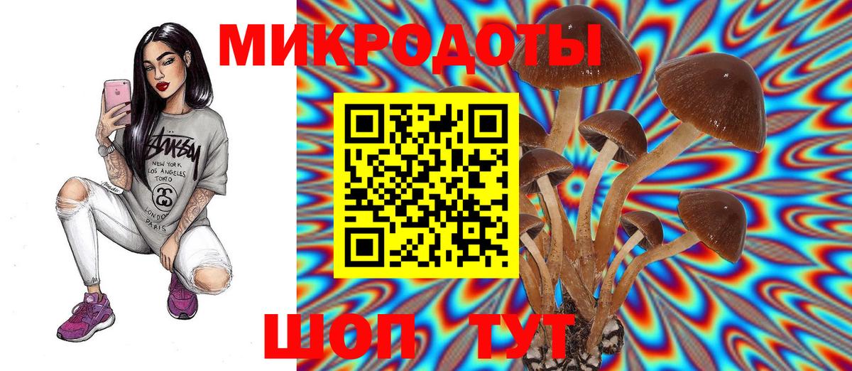 Псилоцибиновые грибы ЛСД Ноябрьск