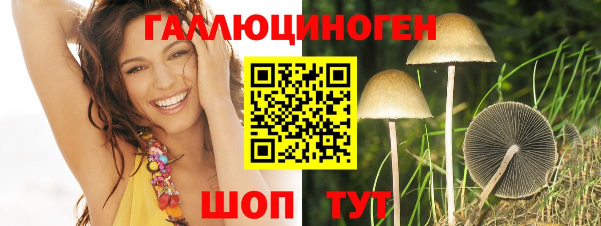 Псилоцибиновые грибы Psilocybe  Ноябрьск 